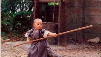 少林小子,武术传奇，青春热血