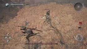 国木无双,探寻千年古树的传奇与智慧